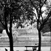 St Sulpice fountain by parisouailleurs
