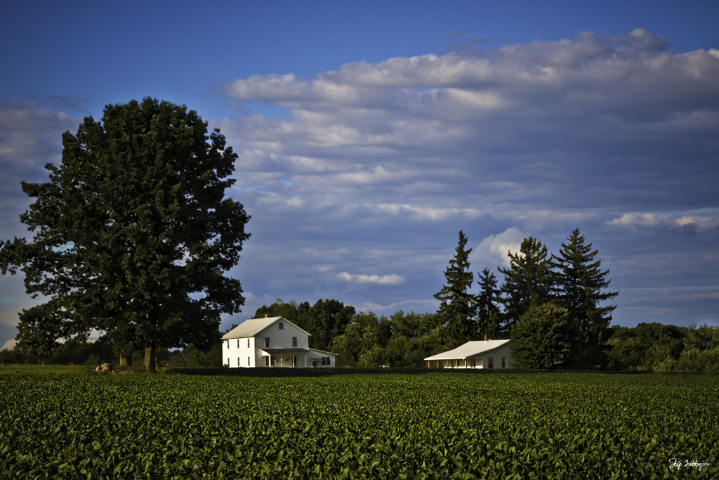 Amish Farm by skipt07