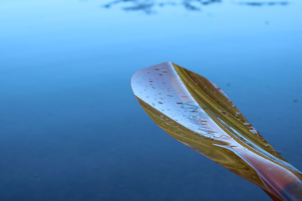 paddle by edorreandresen