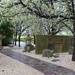 Japanese War Cemetery - Take 2 by leggzy