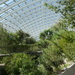 National Botanic Garden of Wales -  Inside the Great Glasshouse  by susiemc