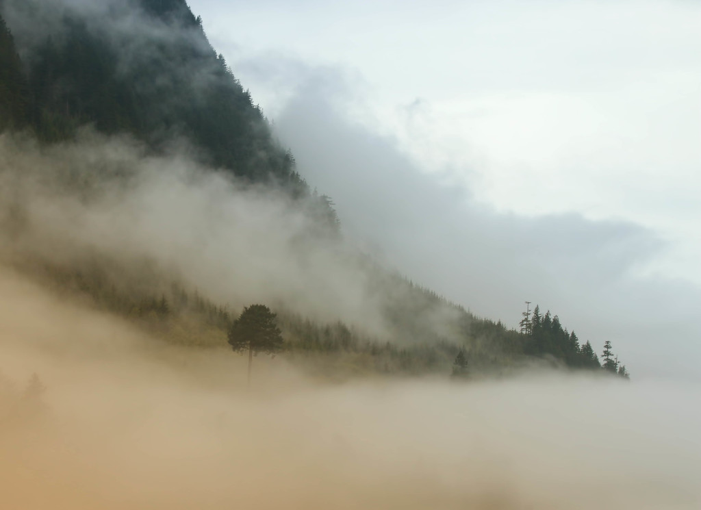 Misty Mountain by shepherdmanswife
