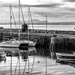 More harbour visitors by frequentframes
