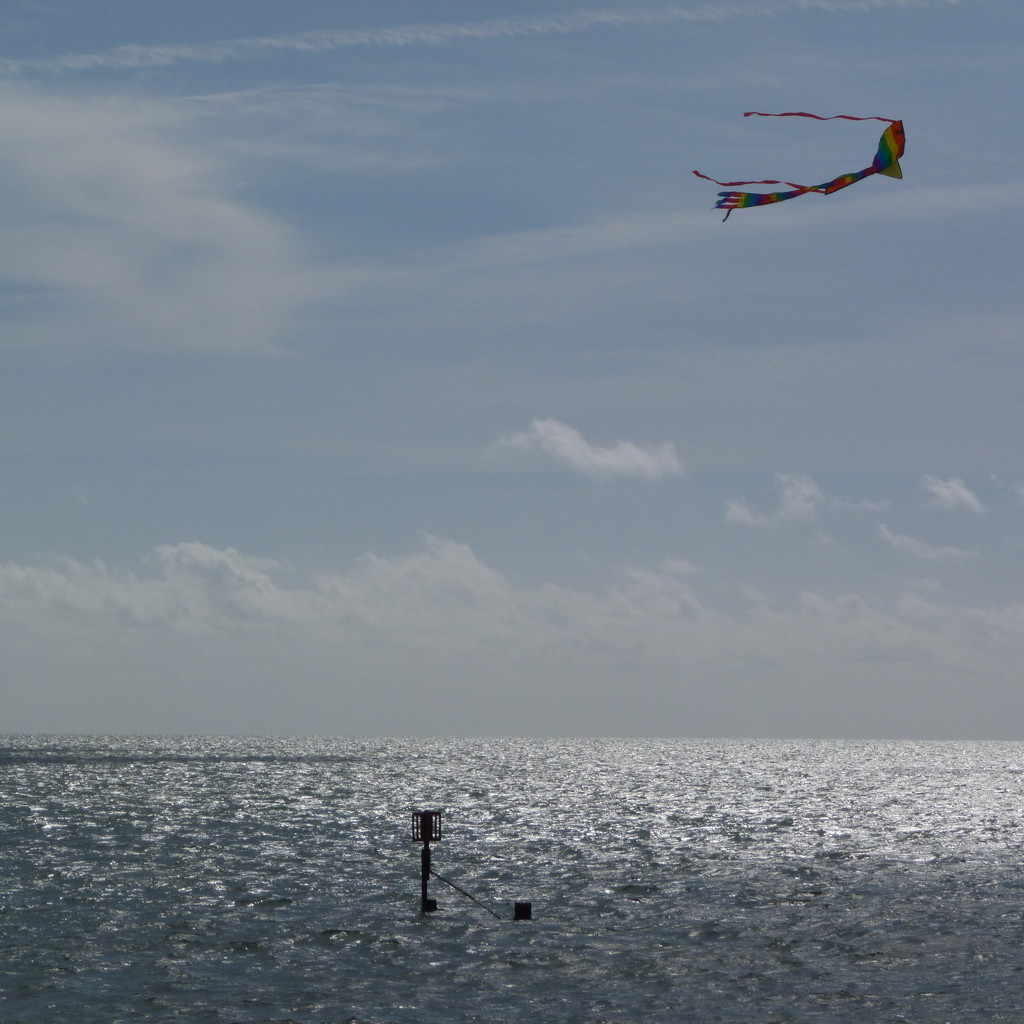 Let's Go Fly a Kite by 30pics4jackiesdiamond
