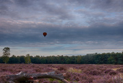 4th Sep 2016 - Hot air balloon over heather field