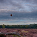 Hot air balloon over heather field by leonbuys83