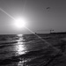 Sun, sea, beach, paraglider... by frappa77