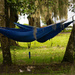 Hammocks in the Trees! by rickster549
