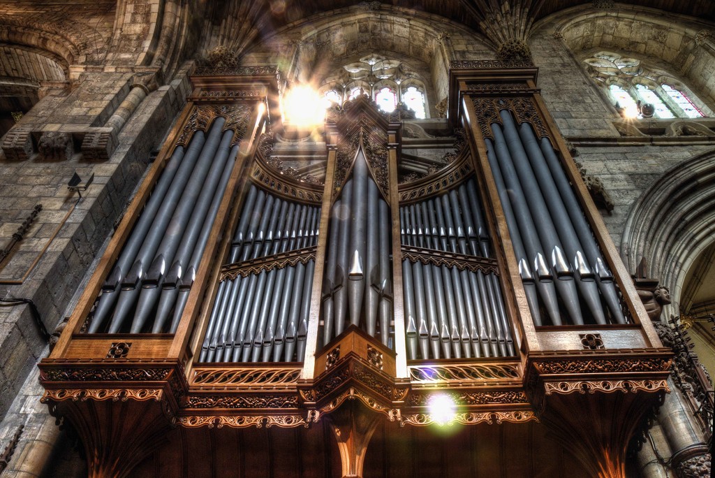 Selby Abbey Organ Pipes. by gamelee
