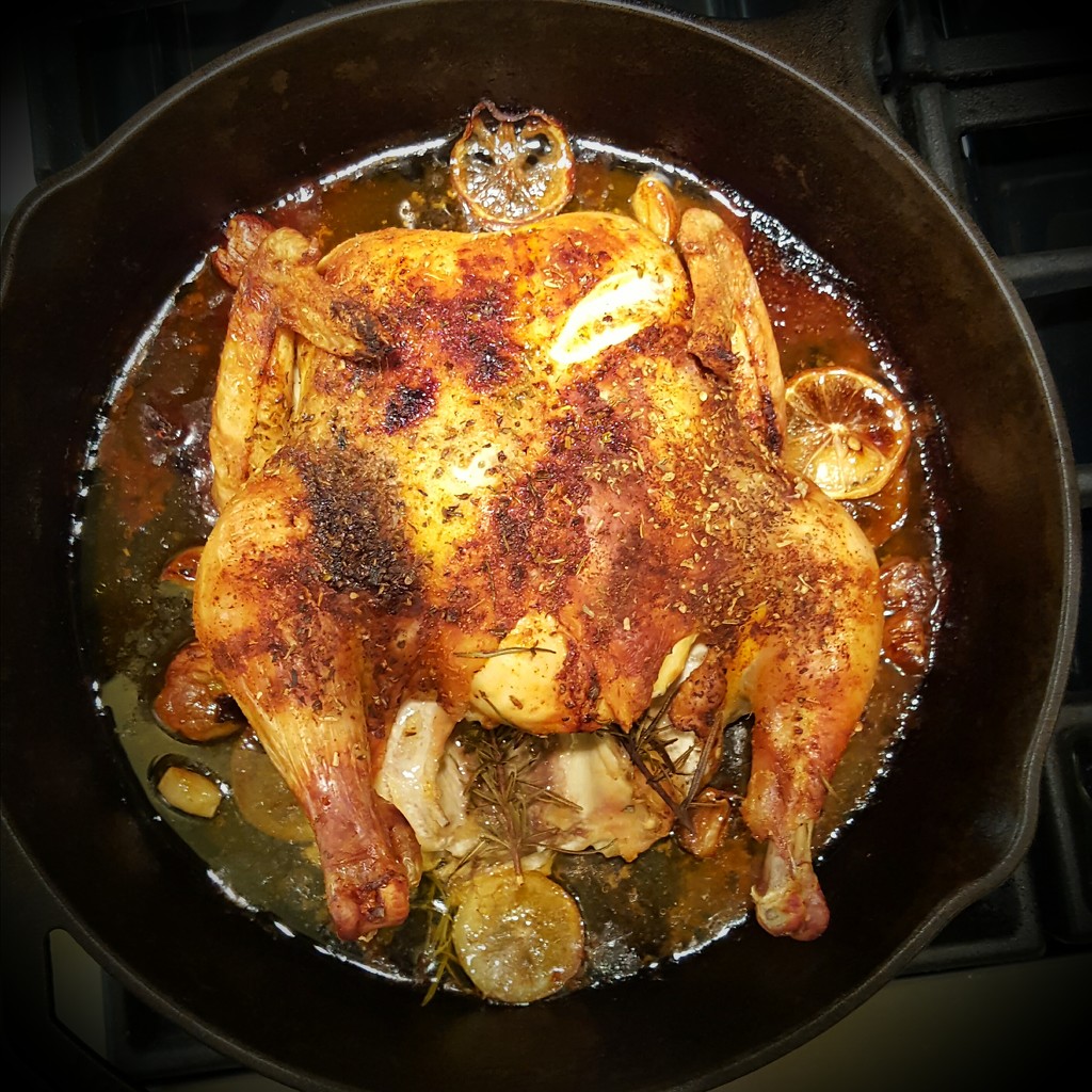 Chicken in a Skillet by darylo