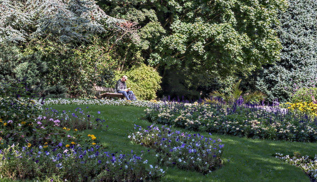 Alone In The Park by phil_howcroft