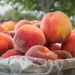 Peaches at the Farm Stand by taffy