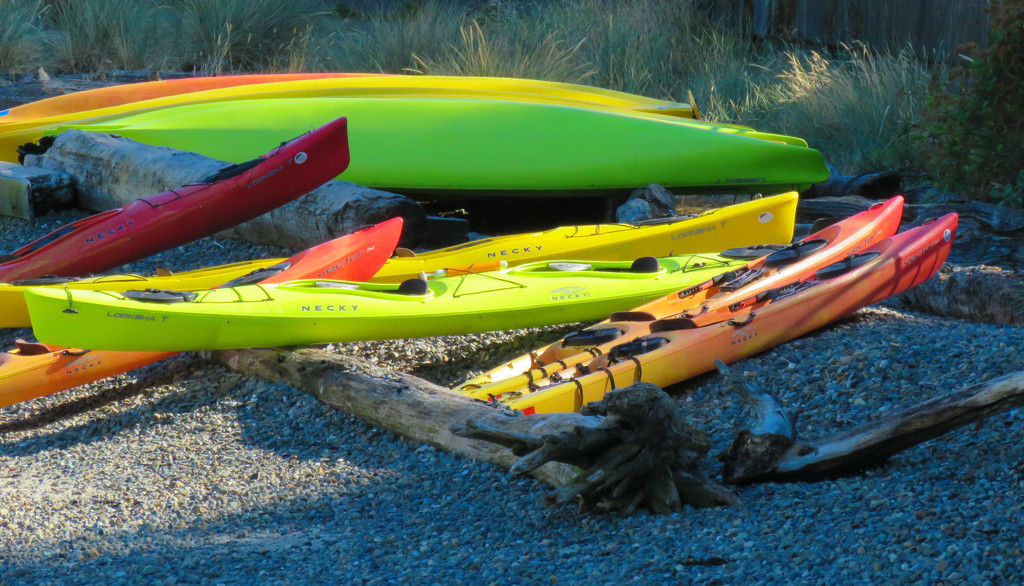 Kayaks by seattlite