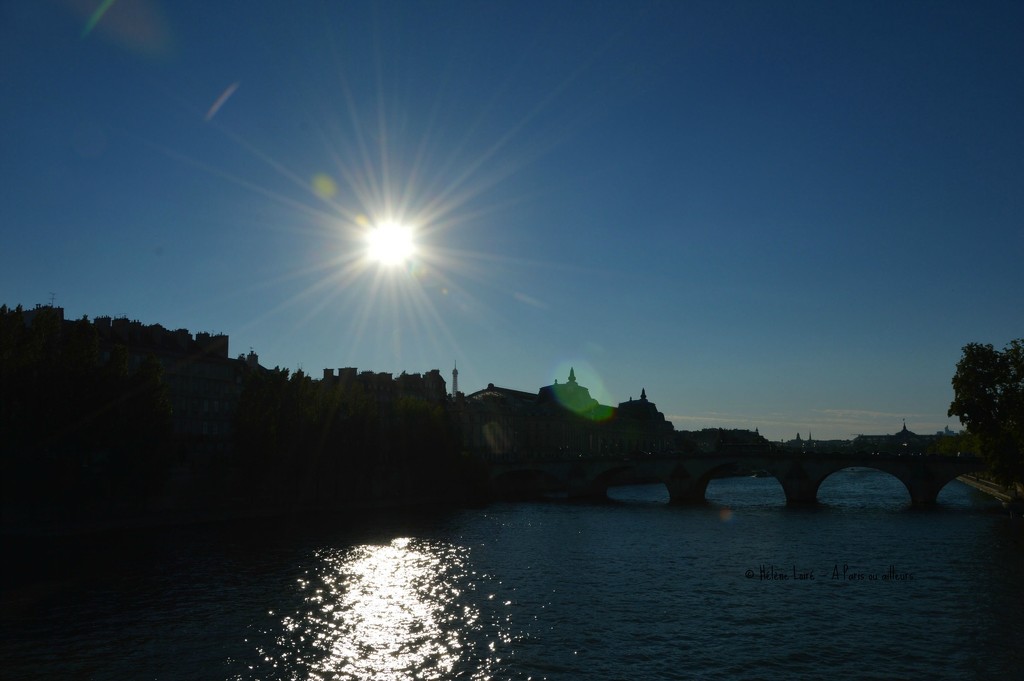 Sunny day in Paris!  by parisouailleurs