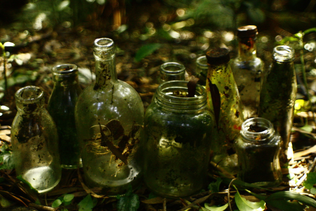 10 green bottles by kali66