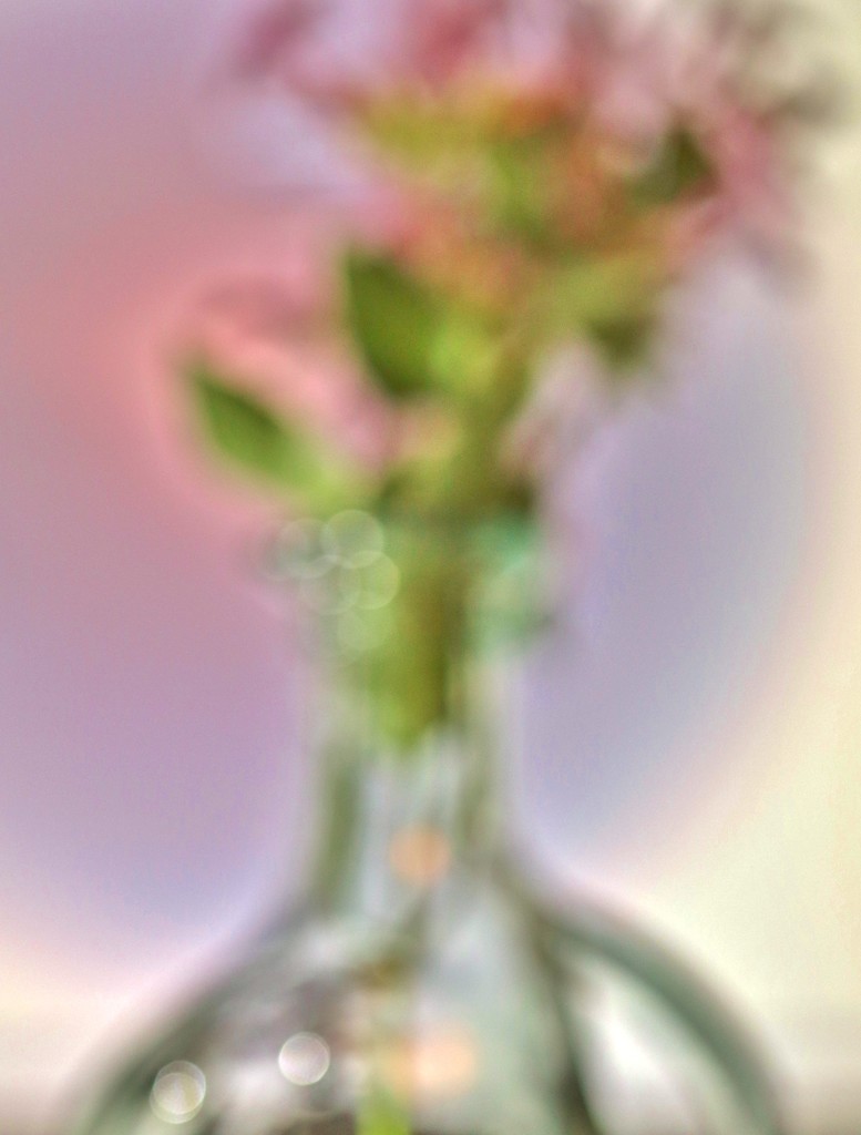 flowers in a vase by lynnz