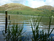30th Jul 2016 - Loweswater