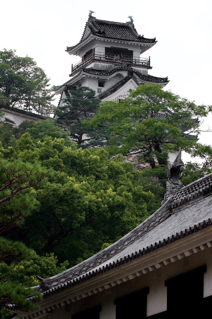 Kochi Castle by jyokota