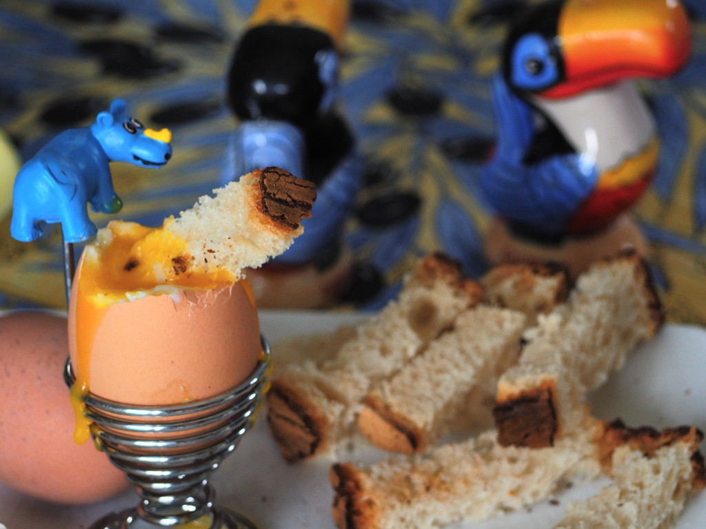 Eggs, soldiers, rhino and toucans by laroque