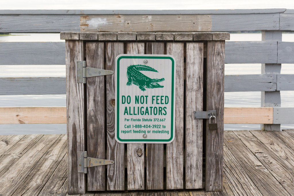 Do not feed the alligators by swchappell