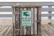 12th Jul 2016 - Do not feed the alligators