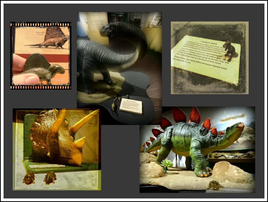 Dinosaur Exhibit! by mcsiegle