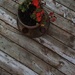 Weathered Deck by wilkinscd