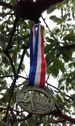 4th Sep 2016 - Medal
