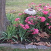 Lakeside Flower Bed by mlwd