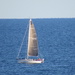 Summer Sailing by mlwd