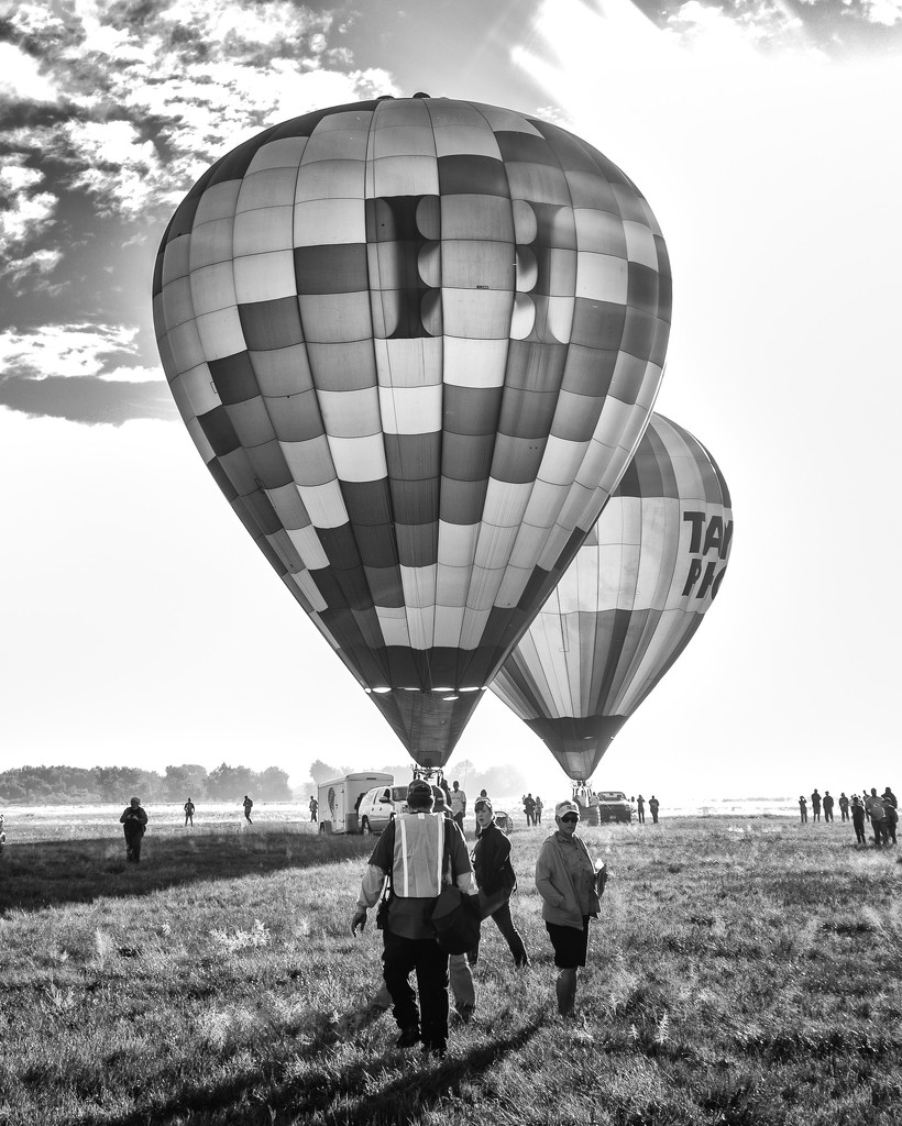 monochrome balloons by aecasey