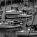Busy Harbour by frequentframes