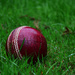 cricket ball by ianmetcalfe