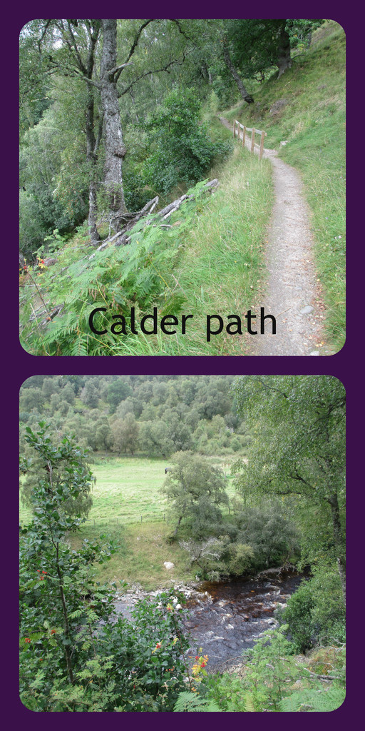 Calder path by jmj