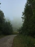 5th Sep 2016 -  Morning fog