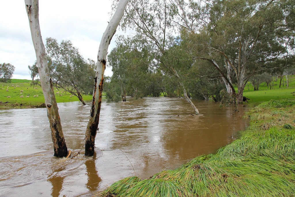 Flooded creek by leggzy