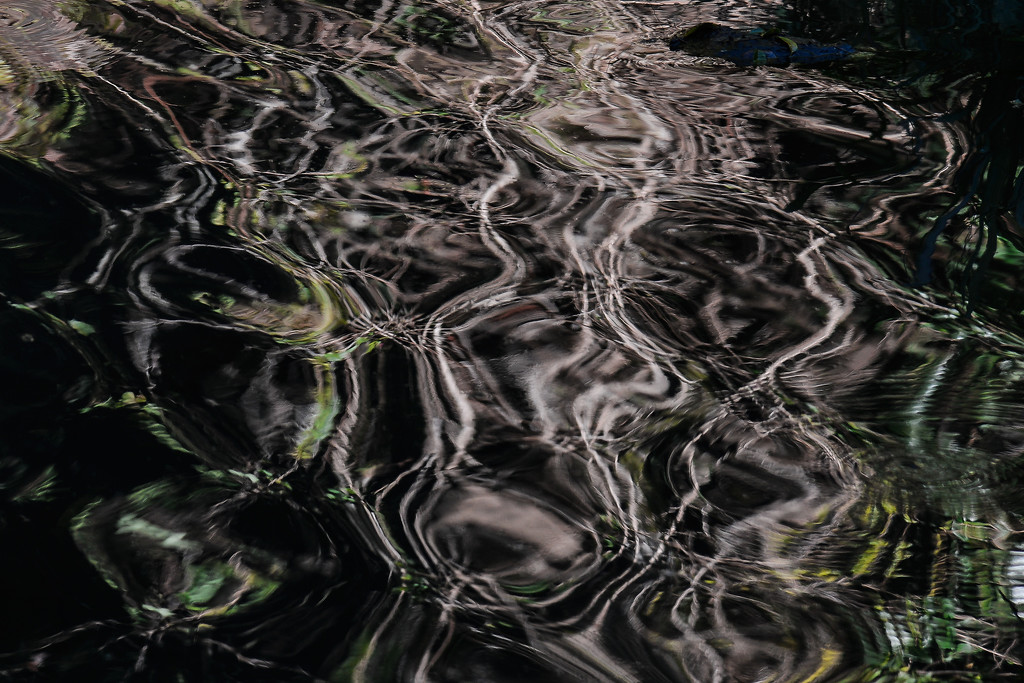 Ripples in the pond by jeneurell