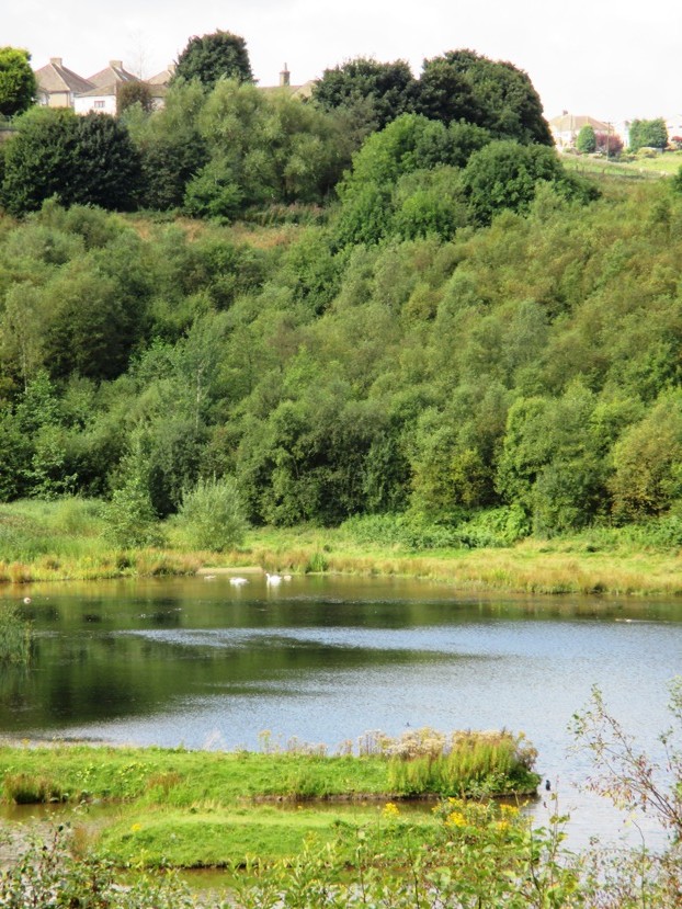Horton Bank Country Park, Bradford by fishers