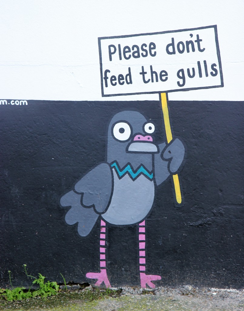 Don't Feed the Gulls by cookingkaren
