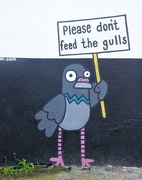 11th Sep 2016 - Don't Feed the Gulls