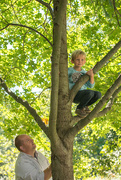 11th Sep 2016 - Tree climbing