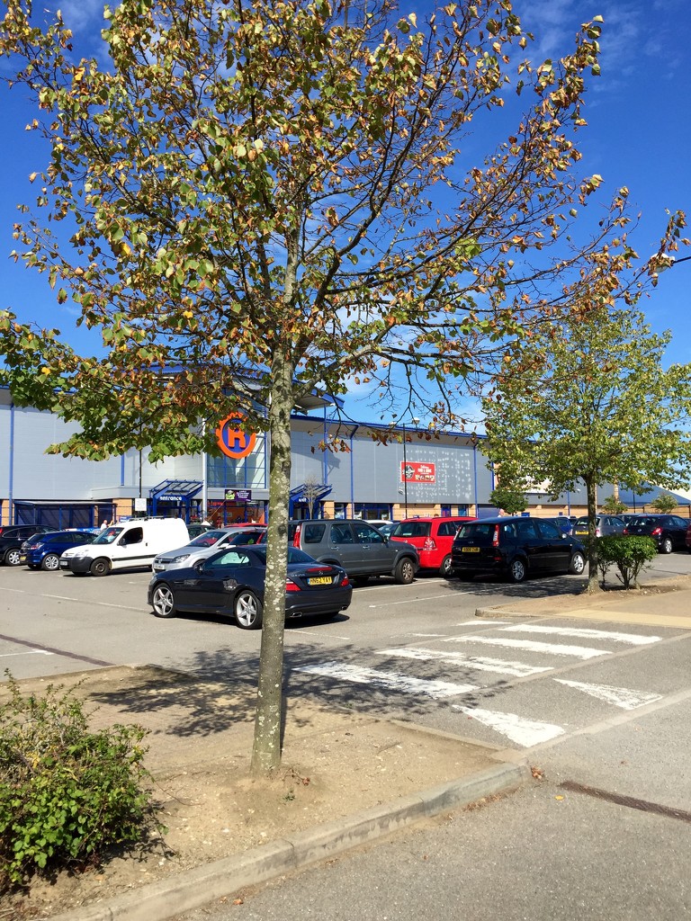 Longwater Retail Park by gillian1912
