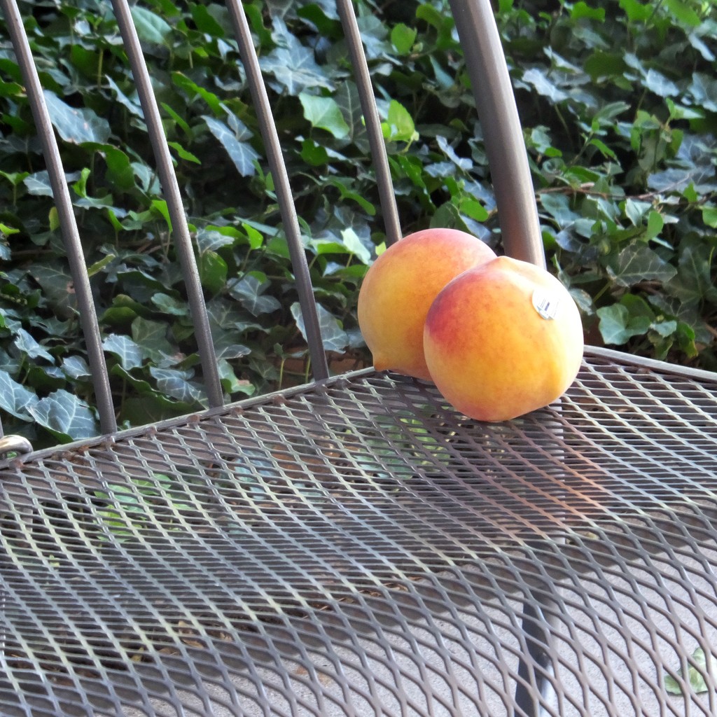 Peaches On A Bench by linnypinny