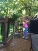 15th Sep 2016 - Watering Grandma's flowers