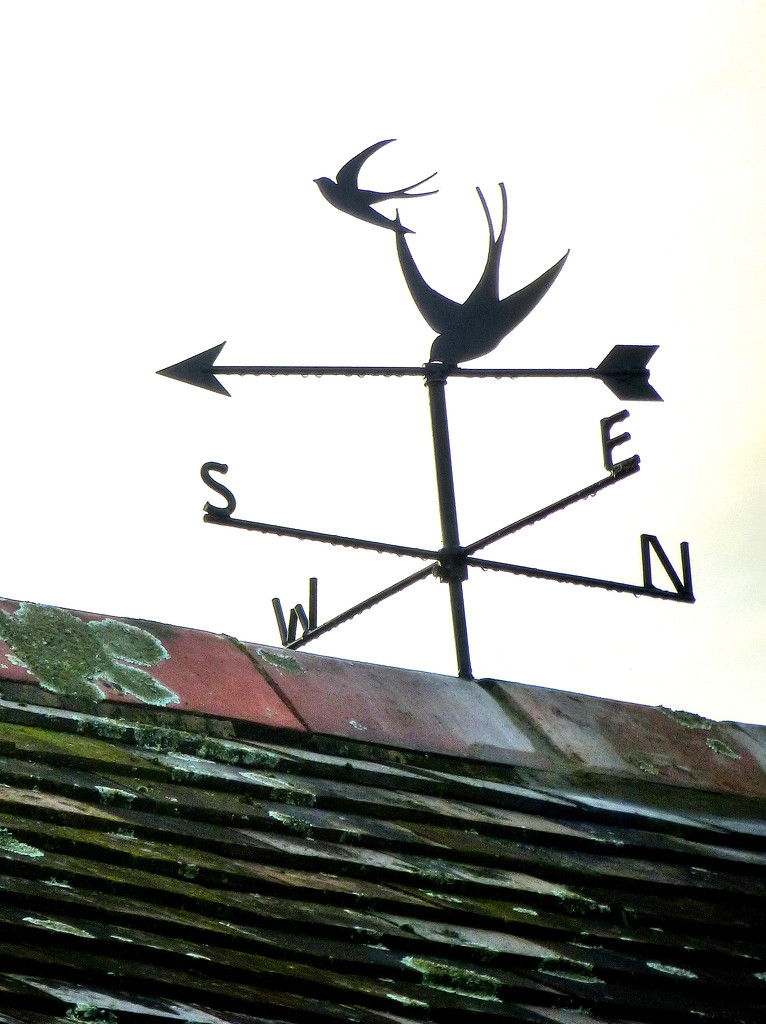 Weather vane... by snowy