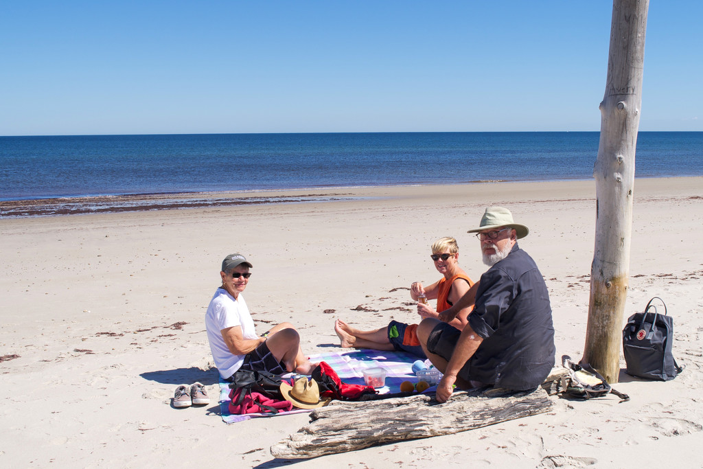 Duxbury Beach picnic by berelaxed