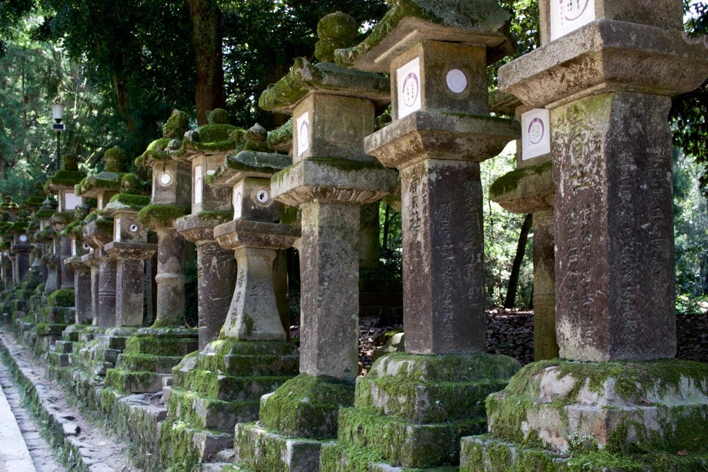 Kasuga Taisha Stone Lanterns by jyokota