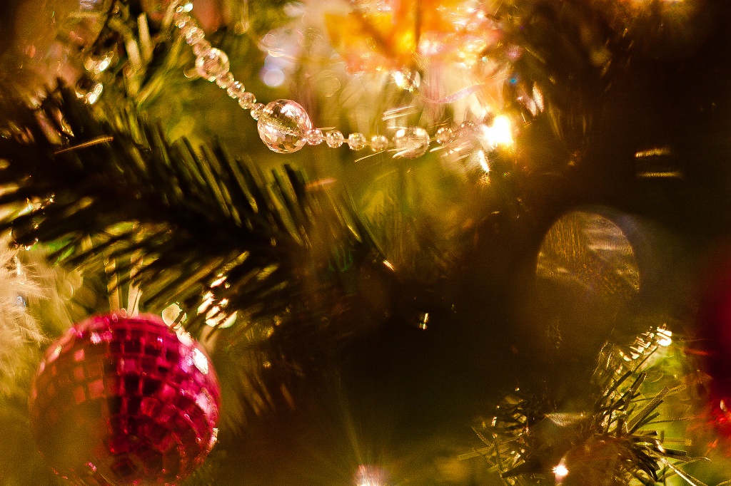 The obligatory Christmas tree shot ... by edpartridge