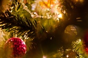 13th Dec 2010 - The obligatory Christmas tree shot ...