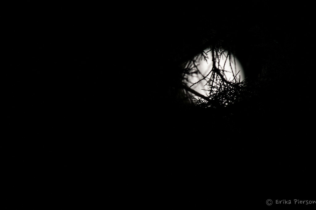 The Moon Hiding  by epcello